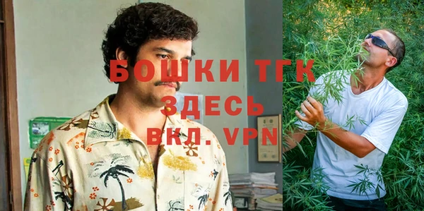первитин Вяземский