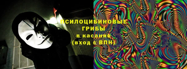 спайс Няндома
