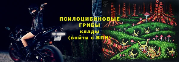 первитин Вяземский